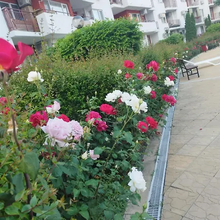 Noks Grand Wave&dreams Appartamento *