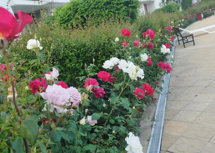 Noks Grand Wave&dreams Appartamento *