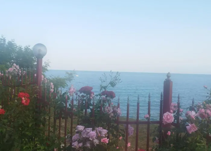 Noks Grand Wave&dreams Appartamento