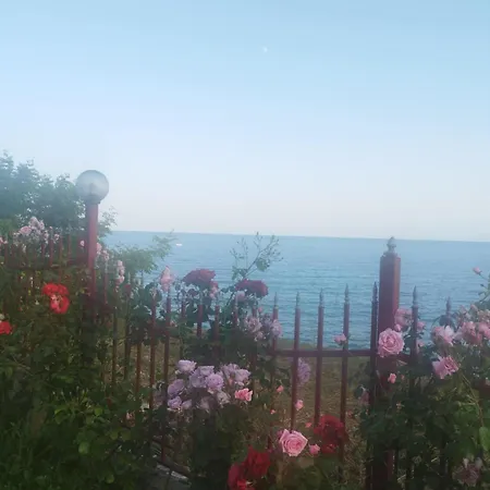 Noks Grand Wave&dreams アパート