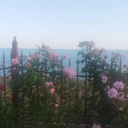 アパート Noks Grand Wave&dreams *