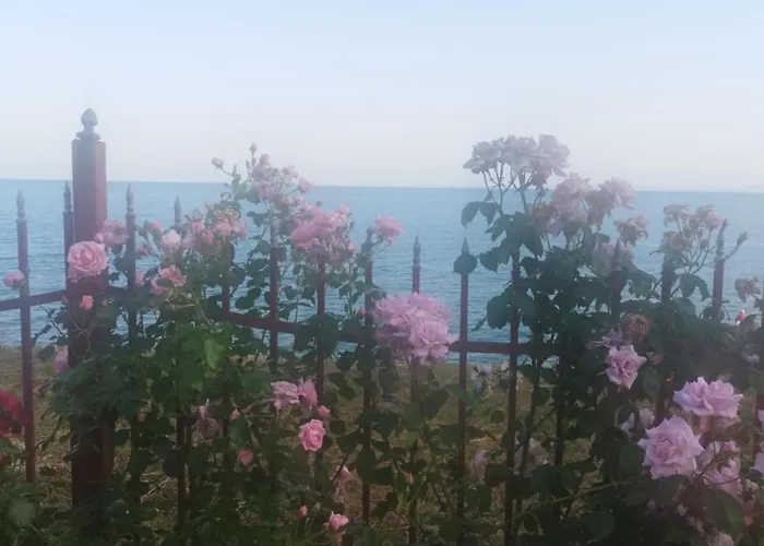 Apartamento Noks Grand Wave&dreams *